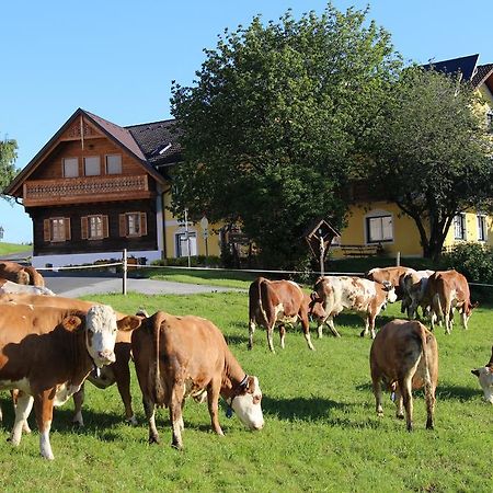 Wiesenbauer - Schlogl Anton Villa Grafendorf bei Hartberg ภายนอก รูปภาพ