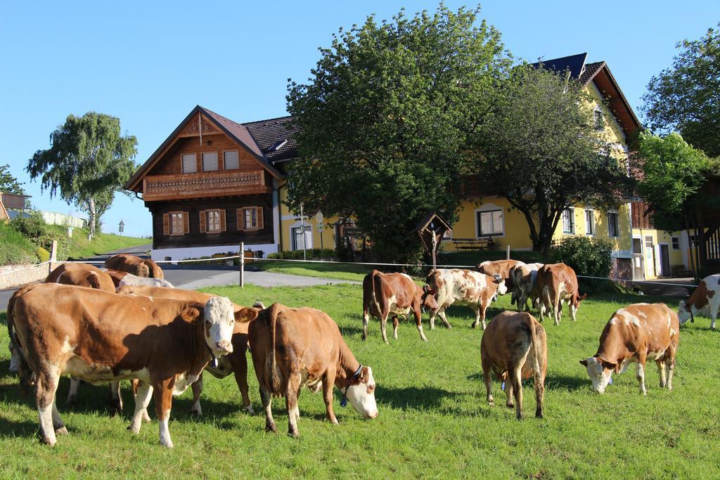 Wiesenbauer - Schlogl Anton Villa Grafendorf bei Hartberg ภายนอก รูปภาพ