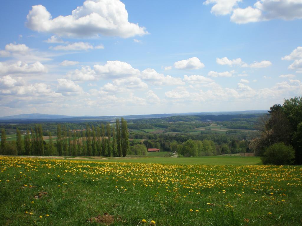 Wiesenbauer - Schlogl Anton Villa Grafendorf bei Hartberg ภายนอก รูปภาพ